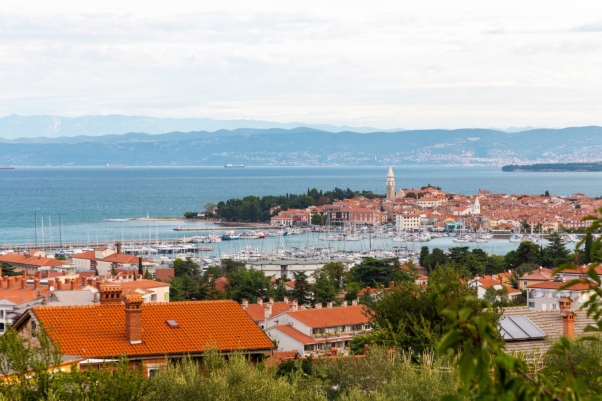 Izola Coastline